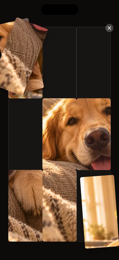 The puzzle mid-solve — pieces of a golden retriever photo shuffling into place.